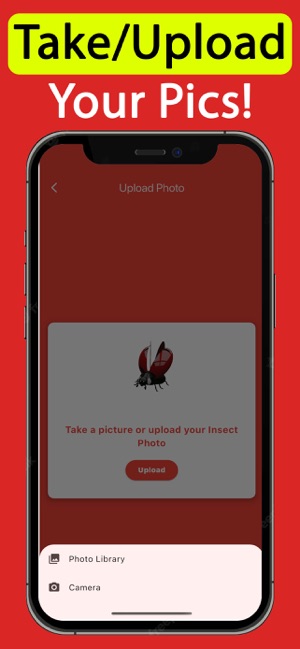 Insect Identifier AI ScanneriPhone版