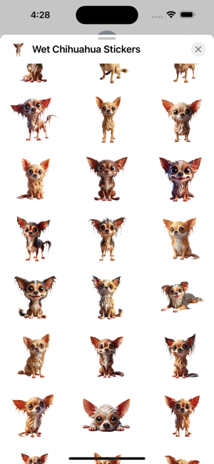 Wet Chihuahua StickersiPhone版