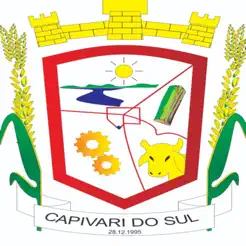 Capivari Do Sul Serviço OnlineiPhone版