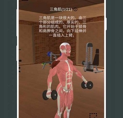 3D健身指南软件有哪方面的优势