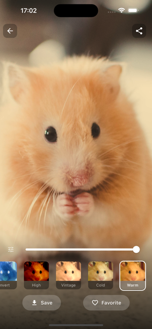 Hamster WallpaperiPhone版