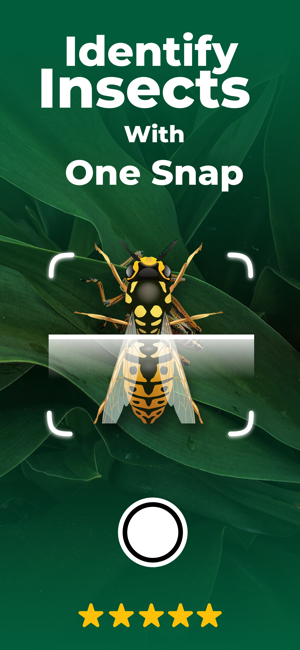 Bug Finder: Identify InsectiPhone版