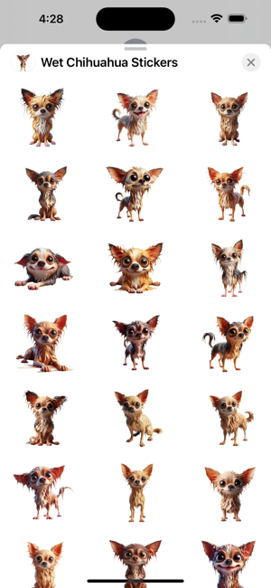 Wet Chihuahua StickersiPhone版