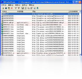 IECacheViewPC版