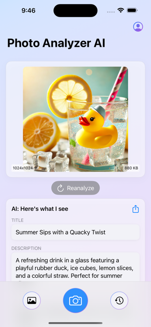 Photo Analyzer AIiPhone版