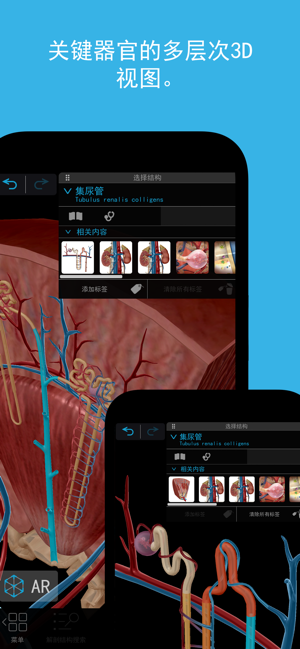 2024人體解剖學(xué)圖譜iPhone版