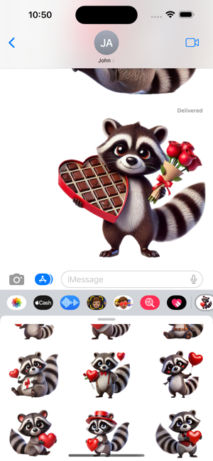 Valentine Raccoon StickersiPhone版