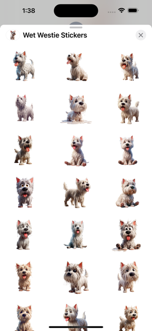 Wet Westie StickersiPhone版