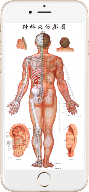 全套高清人體穴位圖iPhone版