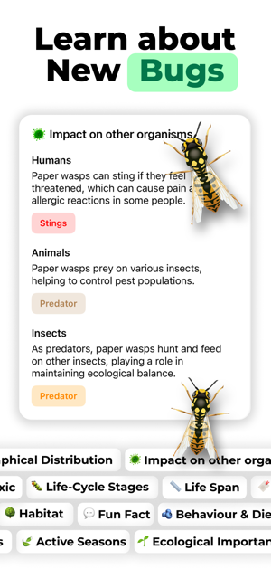 Bug Finder: Identify InsectiPhone版