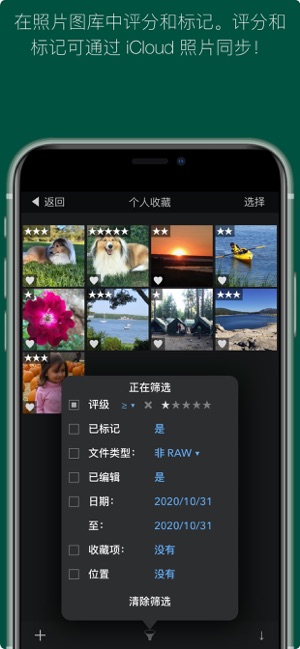 RAWPoweriPhone版