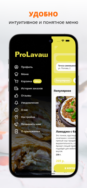 Pro Lavaш | ЕкатеринбургiPhone版