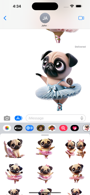 Ballerina Pug StickersiPhone版