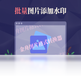 金舟圖片格式轉(zhuǎn)換器PC版