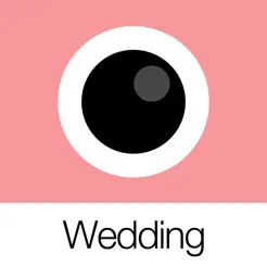 AnalogWeddingiPhone版