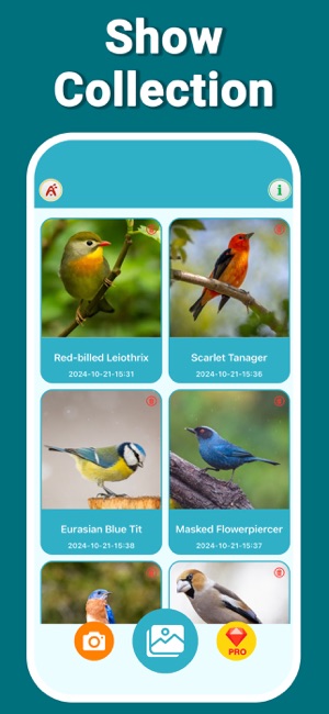 Bird Identifier WingIDiPhone版