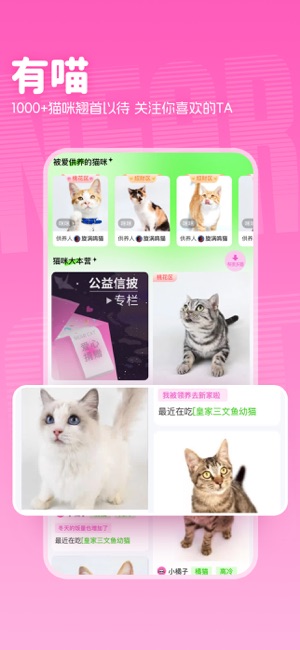 附近有喵—平价购物献爱心的宠物商城iPhone版