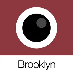 AnalogBrooklyn(模拟布鲁克林)‬iPhone版
