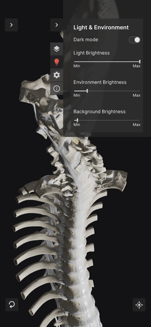 BiomechanicsoftheSpineLiteiPhone版