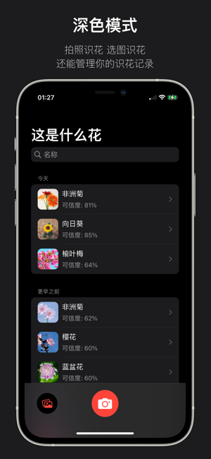 這是什么花iPhone版