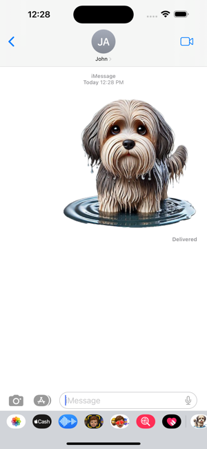 Wet Havanese StickersiPhone版