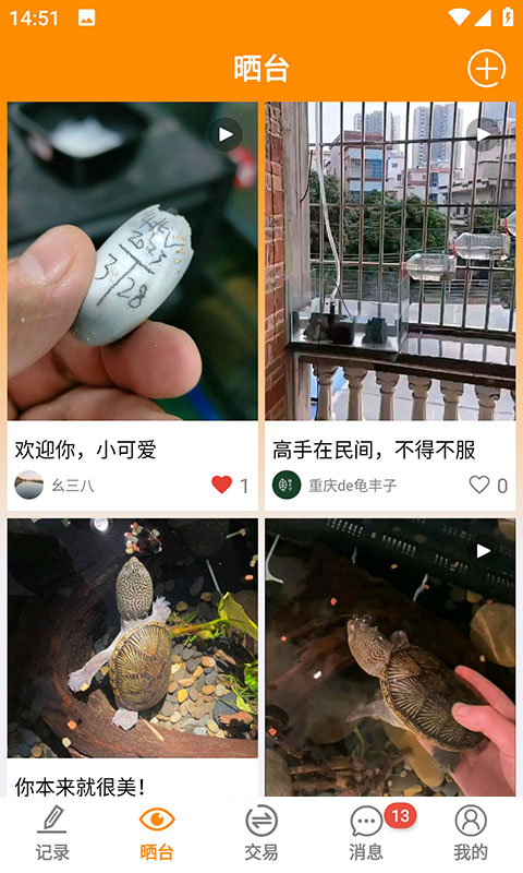 龜圈江湖