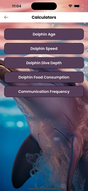 DolphinOceanSolveiPhone版