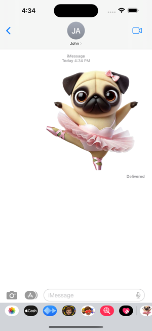 Ballerina Pug StickersiPhone版