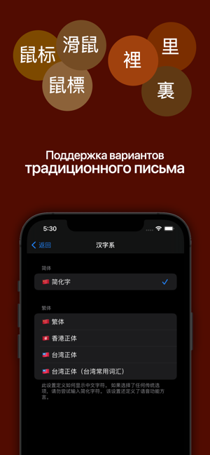 俄漢詞典大БКРС|БРуКС8in1俄漢俄詞典iPhone版