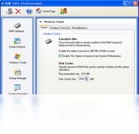 RAM Idle ProfessionalPC版