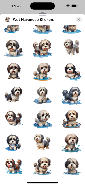 Wet Havanese StickersiPhone版