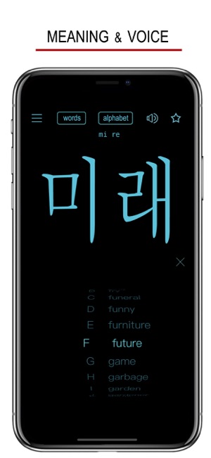 韓語單詞發(fā)音與書寫iPhone版