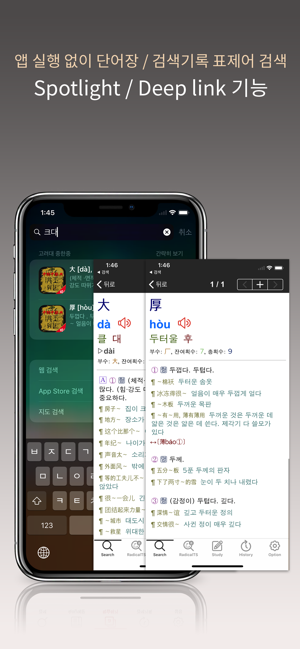 고려대중한중사전iPhone版