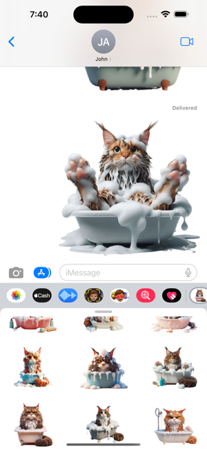 Maine Coon Cat Bath StickersiPhone版