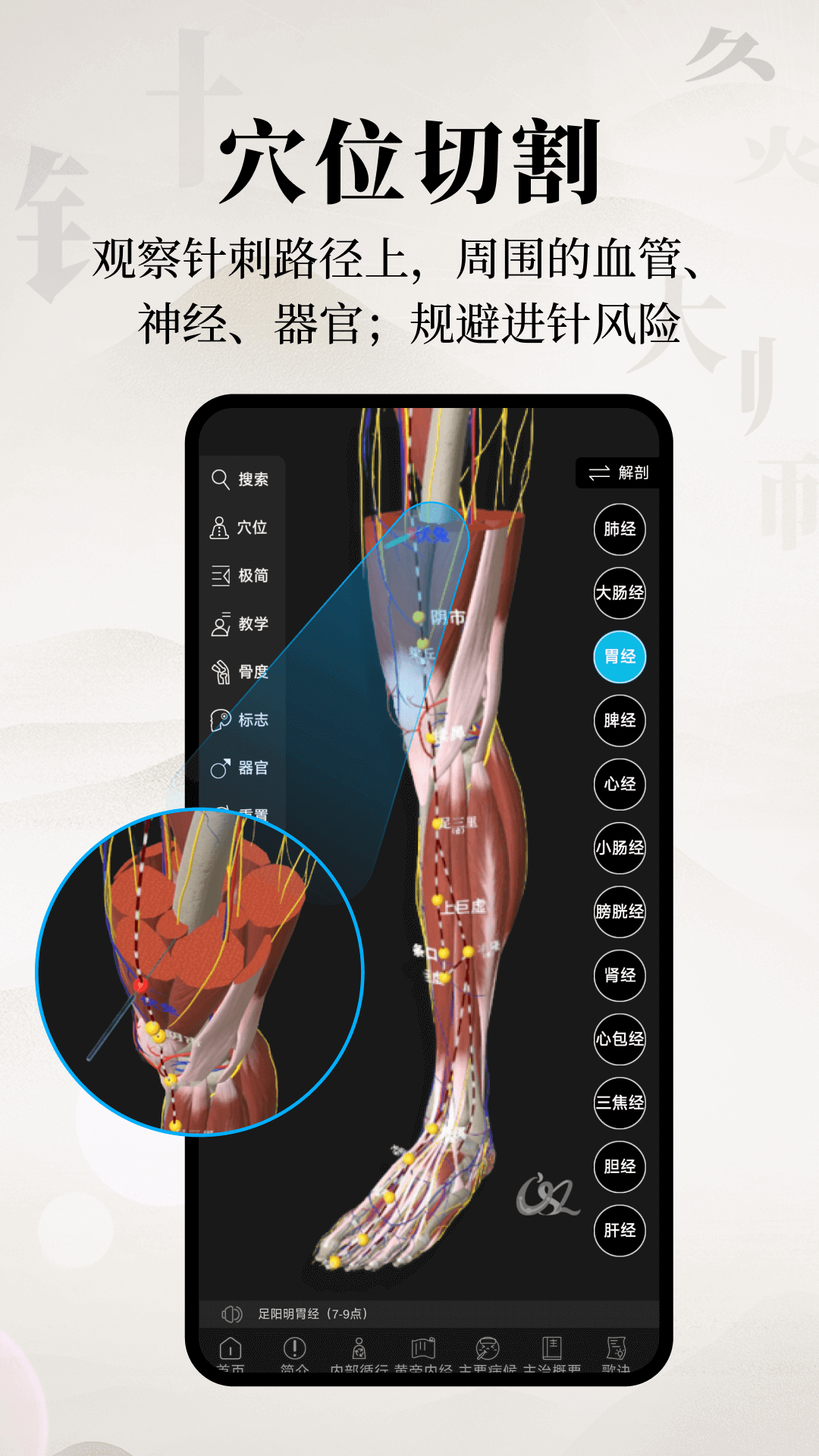 针灸大师鸿蒙版