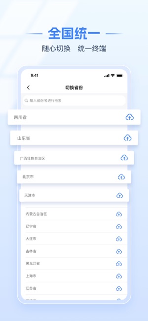 電子稅務(wù)局iPhone版