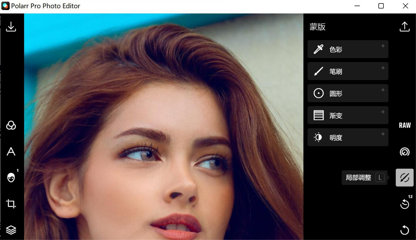 泼辣修图（Ploarr Pro Photo Editor）简体中文版PC版