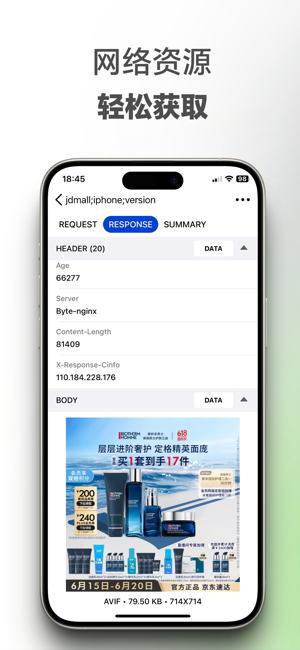 NetworkSniffer:网络抓包工具iPhone版