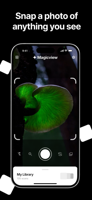 MagicviewiPhone版