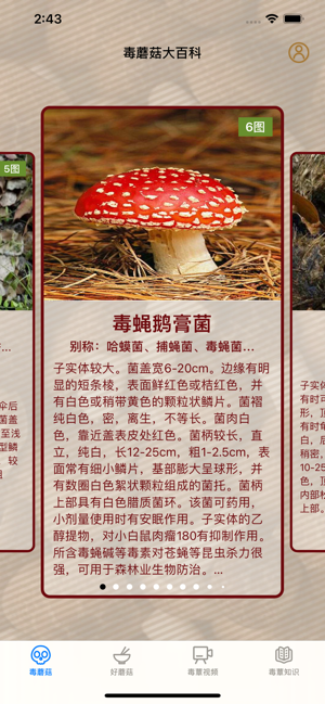 毒蘑菇大百科iPhone版