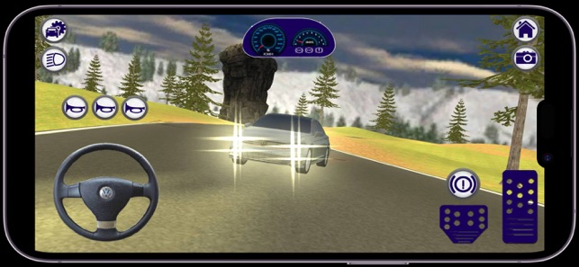 Car Driving On The Forest RoadiPhone版