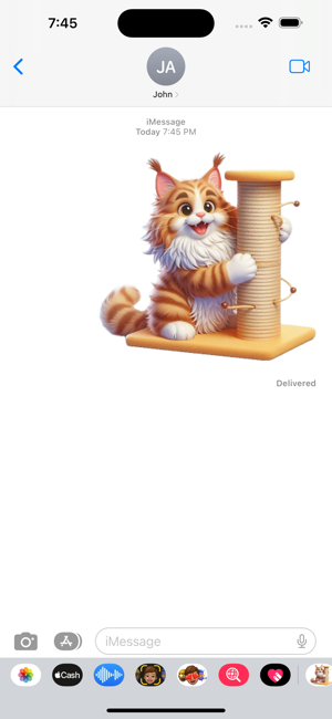 Maine Coon Cat ScratchiPhone版