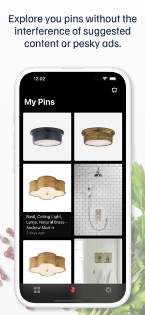 PinxforPinterestiPhone版