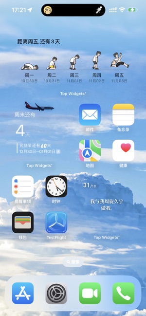 TopWidgets⁺iPhone版