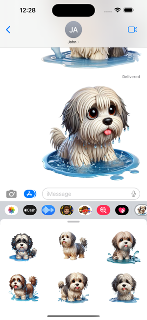 Wet Havanese StickersiPhone版