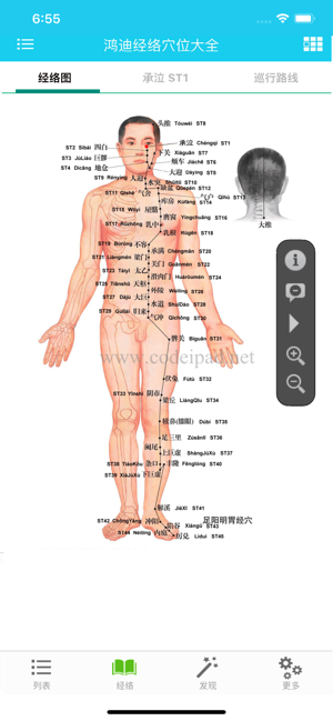 經(jīng)絡(luò)穴位大全HDiPhone版