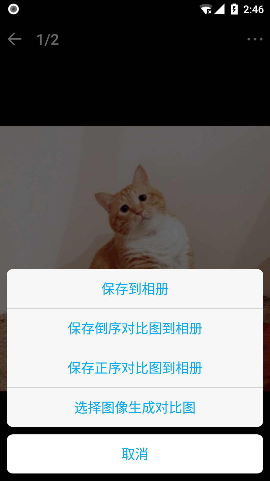 猫咪成长记鸿蒙版