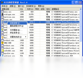 长生进程管理器PC版