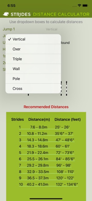 StridesDistanceCalculatoriPhone版