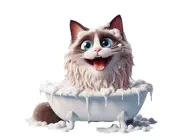 Ragdoll Cat Bath StickersiPhone版